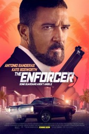 watch The Enforcer free online