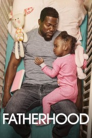 watch Fatherhood free online