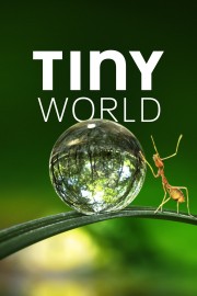 watch Tiny World free online