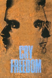 watch Cry Freedom free online