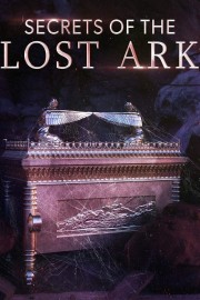 watch Secrets of the Lost Ark free online