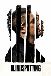 watch Blindspotting free online