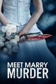 watch Meet Marry Murder free online