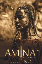 watch Amina free online