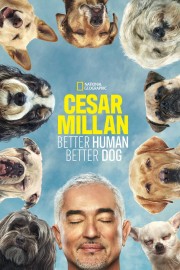 watch Cesar Millan: Better Human, Better Dog free online