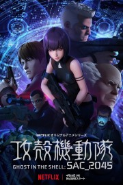 watch Ghost in the Shell: SAC_2045 free online