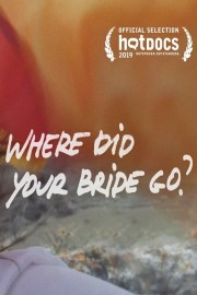 watch Where Did Your Bride Go? free online