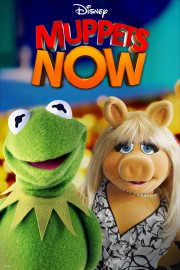 watch Muppets Now free online