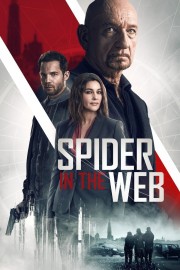 watch Spider in the Web free online