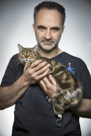 watch The Supervet free online