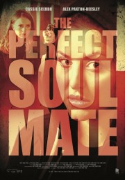 watch The Perfect Soulmate free online