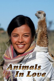 watch Animals in Love free online