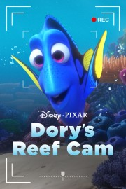 watch Dory's Reef Cam free online