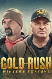 watch Gold Rush: Winter's Fortune free online