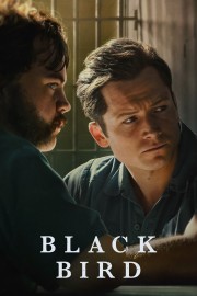 watch Black Bird free online