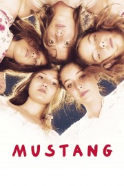 watch Mustang free online