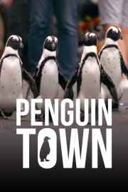 watch Penguin Town free online