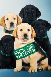 watch Pick of the Litter free online