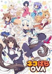 watch NEKOPARA OVA free online