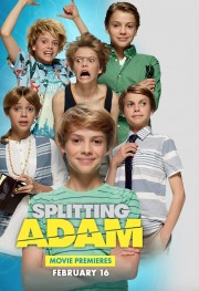 watch Splitting Adam free online